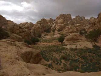 Petra