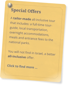 Special offer
