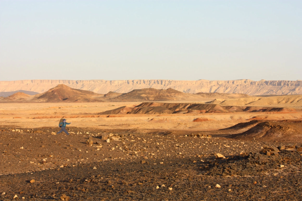 Negev desert- Tailor made tour guiding services